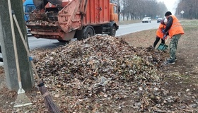 У Полтаві не вистачає майже 200 двірників