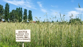 На Полтавщині 140 років триває унікальний аграрний експеримент