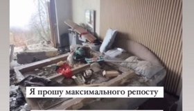 Полтавці збирають кошти для пораненої полтавки і малюка