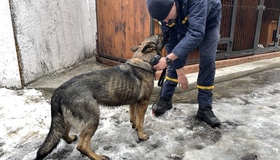 У Полтаві створили кінологічне відділення ДСНС. ВІДЕО