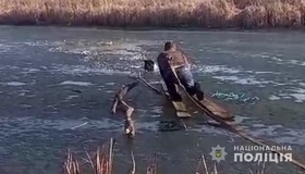 На Полтавщині врятували собаку, що провалився під кригу