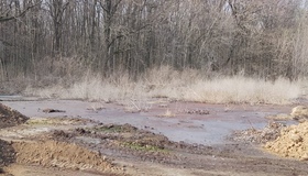 На Полтавщині зливали нечистоти в ландшафтному парку "Диканський"