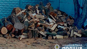 Під Полтавою незаконно вирубили дерев на мільйон