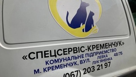 У Кременчуці нарахували понад тисячу безпритульних тварин