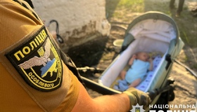 Викрадення немовля: суд призначив кременчужанину лише рік ув’язнення