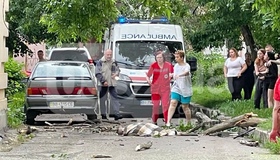 Полтавська громада сплатить за лікування дитини, на яку впала гілка з дерева