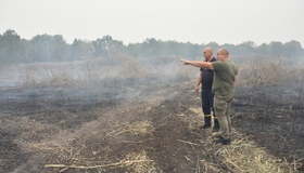 На Полтавщині загорілося торфовище