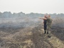 На Полтавщині загорілося торфовище