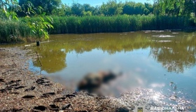 На Полтавщині у ставку знайшли тіло людини