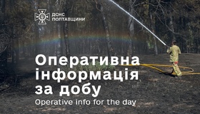 У Великобудищанській громаді горів лісовий масив