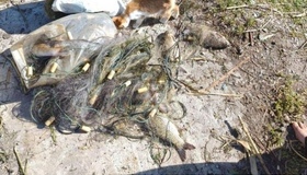 На Полтавщині браконьєр завдав збитків на понад 200 тисяч