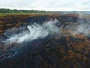 Вогонь на Полтавщині охопив понад сім гектарів сухостою і лісової підстилки