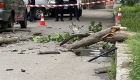 "Ніхто не дає шансів, що встане": мама хлопчика, на якого впало дерево у Полтаві