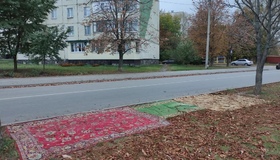 Полтавці самостійно облаштовують зупинки через затримки з ремонтом