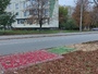 Полтавці самостійно облаштовують зупинки через затримки з ремонтом