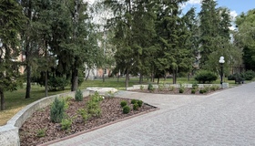 Березовий сквер у Полтаві можуть перейменувати на Сквер Українських Добровольців