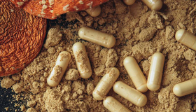 Мікродозинг мухоморів: корисні властивості та потенційні ризики