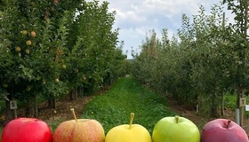 Жовтень на Полтавщині був теплішим за норму