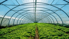 На Полтавщині відновлюють теплиці комунального підприємства після обстрілу