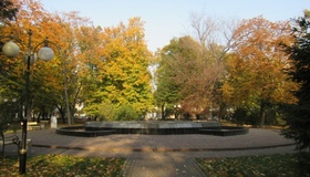 У Сонячному парку відкрили інформтабличку в рамках проєкту "Стріткод"