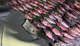 На Полтавщині вилучили триста кг незаконно виловленої риби