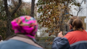 У Полтаві висадили нові дерева