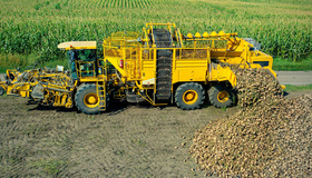 Аграрії Полтавщини зібрали понад мільйон тонн цукрового буряку