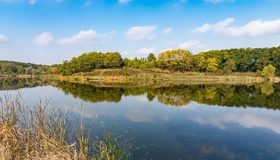 У Кременчуцьке водосховище випустили рекордну кількість малька