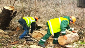Полтавські “Мальдіви”: міськрада заявила про вирубку дерев