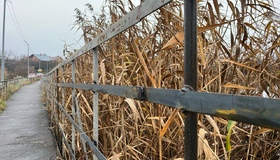 Під Полтавою відремонтували пішохідний міст