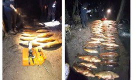 Браконьєри з гарпунними рушницями завдали збитків на Полтавщині