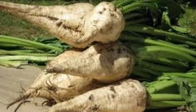 Аграрії Полтавщини завершили збір цукрового буряка