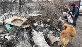 На Полтавщині "шахед" пошкодив дім матері безвісти зниклого воїна