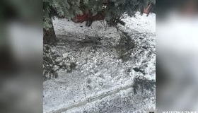 У Полтаві біля зупинки вибухнула граната