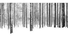 Полтавагаз закликає містян не використовувати газову плиту для обігріву житла