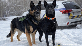 Службові собаки допомогли знайти крадія