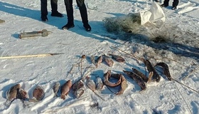 Майже 150 тисяч збитків: на Полтавщині затримали браконьєра