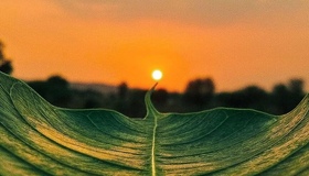 Полтаваобленерго пояснило, чому одні будинки в Полтаві зі світлом, а інші &mdash; без