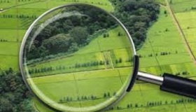 Прокурори повернули державі та громадам три тисячі гектарів землі