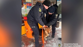 Поліцейські врятували собаку з люка: тварині шукають господаря