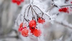 Полтавщину чекає майже 30-градусний мороз: синоптики назвали дату