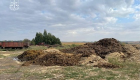 Екозлочин у Миргородському районі: підприємство забруднювало землі громади