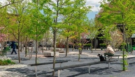 Полтава: місто без амбіцій. Чи є шанс на відродження