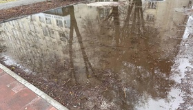 На Полтавщині підтопило приватні будинки і дороги через дощі й різке танення снігу