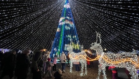 &nbsp;Полтавці майже триста тисяч гривень витратили на новорічну ялинку і ілюмінацію