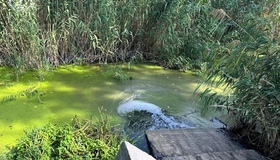 Посадовця "Полтававодоканалу" судитимуть через забруднення річки Орчик