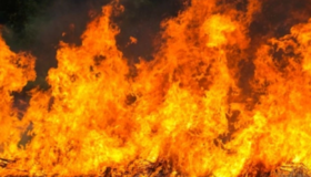 Під час пожежі в квартирі загинула полтавка