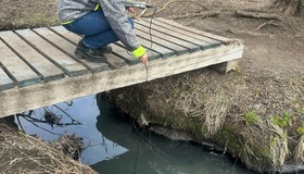 У Полтаві зафіксували забруднення водойм: біла піна і стоки у ставках