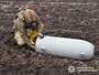 На Полтавщині вибухотехніки знешкодили нерозірвані бойові частини російських ракет