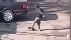 Восьмирічного полтавця покарали за жорстоке поводження з кішкою